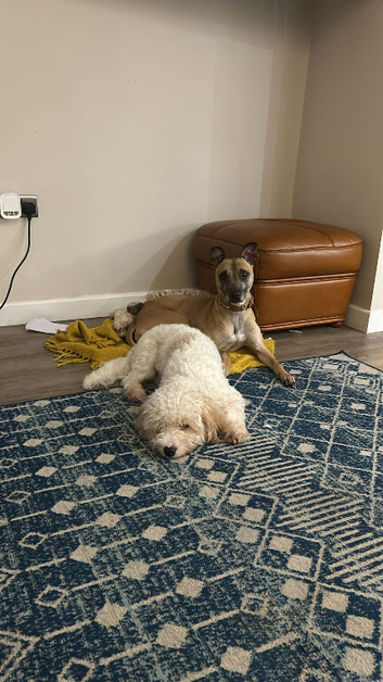For rehoming due to relationship breakdown