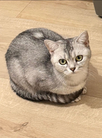 BSH girl ready to leave now
