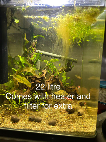 5 fish tanks and fish , trade or sale