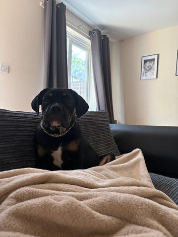 Luna