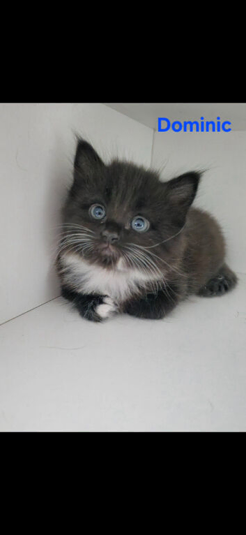 2 left from litter of 5