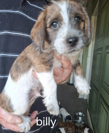 JACKAPOO READY NOW &pound;600