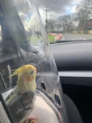 Missing my Baby cocktail