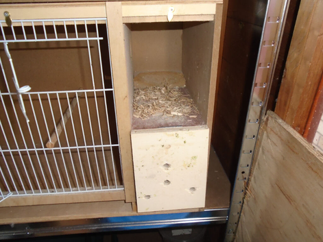 PRICE REDUCED AGAIN,,,,,,,,,,,,,Bird cage, breeding cage, 30"x15x12 inches deep, dont let this get away from you. with spare poop trays.
