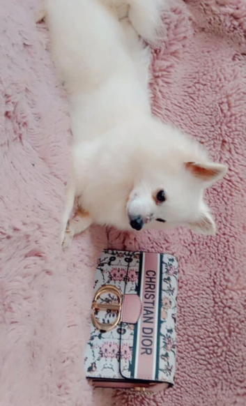 Black and white  baby poms