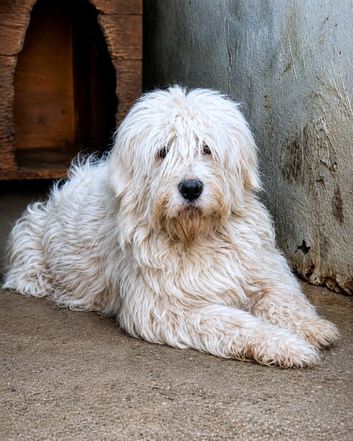 The best things in life are worth waiting for... Meet Barney