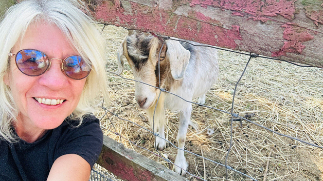 Four goats free to good home gone to new home
