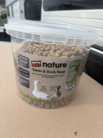 Swan duck goose water fowl food