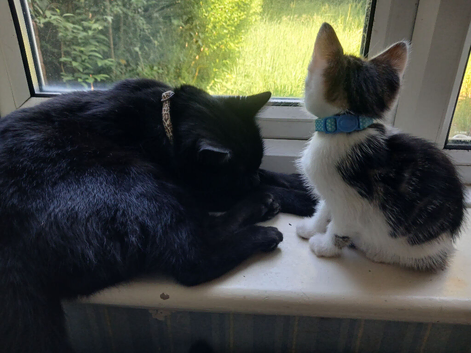 Kitkat And Twix
