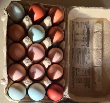 Chicken Hatching Eggs