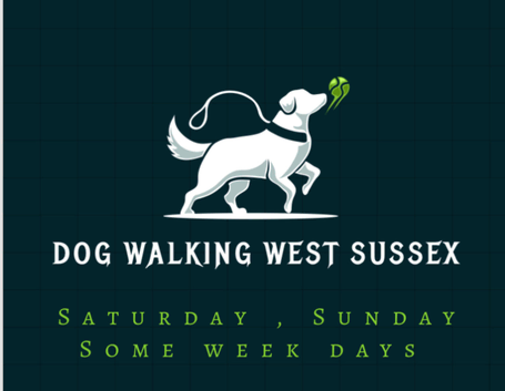 Dog walking West Sussex
