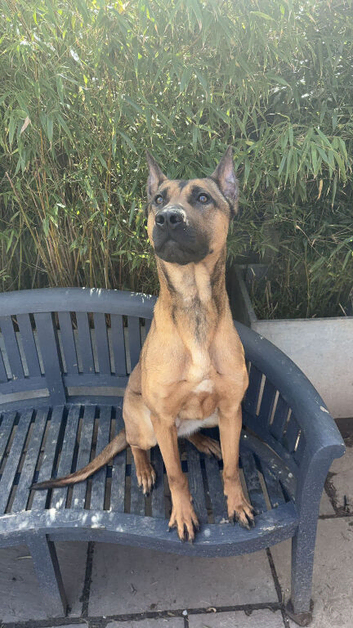 Zilo