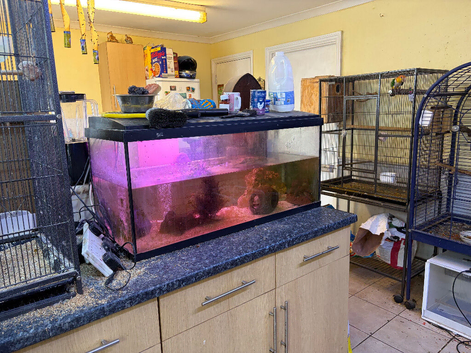 Fish tank all set up for sale
