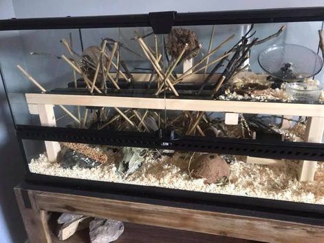 Exo terra terrarium