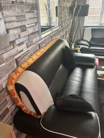 10ft female sunglow boa constrictor