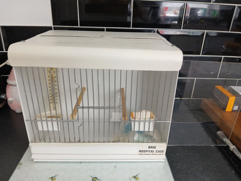Hospital cage