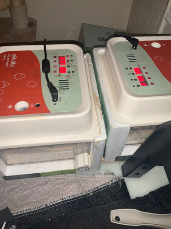 Incubators