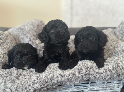 Beautiful little baby&rsquo;s