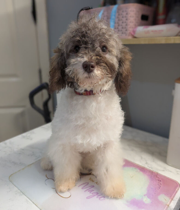 Gorgeous girl looking for home
