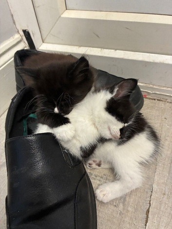Ready to leave 24/10/26