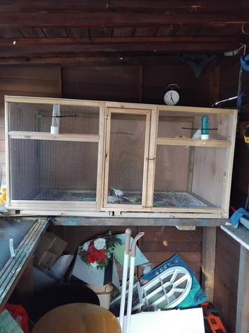 Bird box
