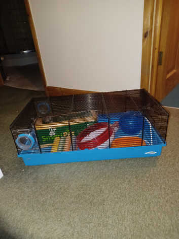Hamster or Mouse cage never used
