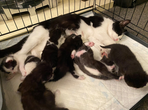 6 Gorgeous little babies