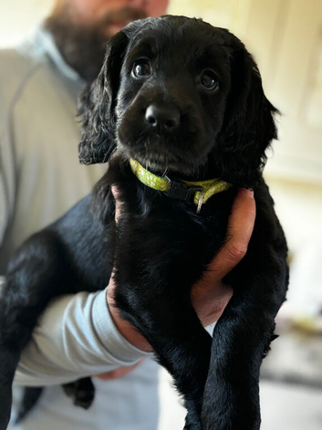 F1B ready now reduced last girl