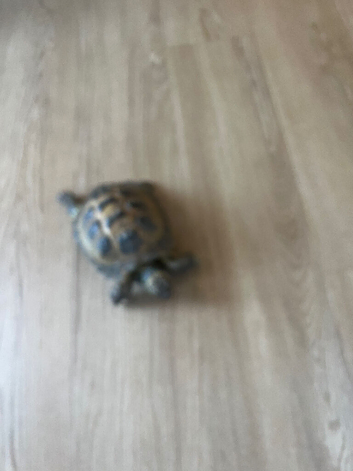 5 years old good strong girl