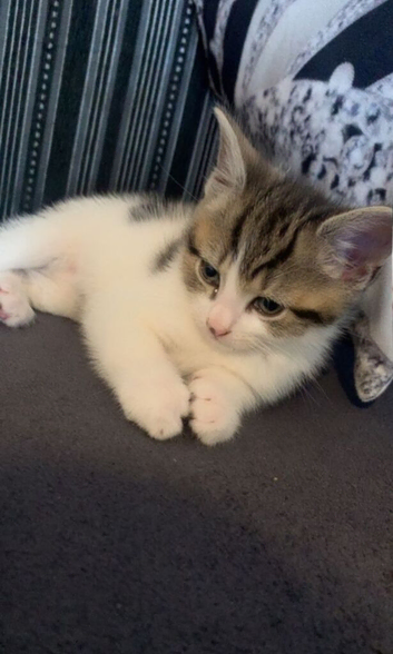 Beautiful baby boy