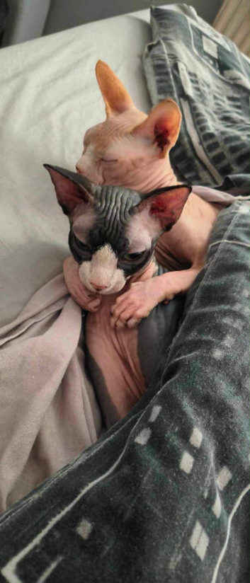 We are looking for someone who will love us forever.