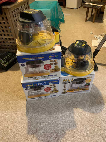 Brinsea Mini Advanced incubator &pound;90 ono