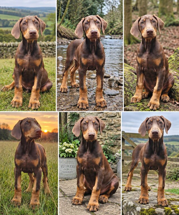 Stunning Boy & girl Available