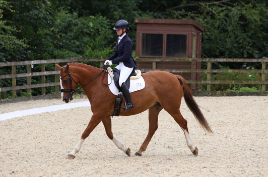 Join the team at The Ilkeston Stud