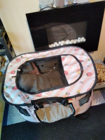Beautiful dog bed
