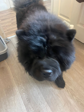 Needs 1-1 home