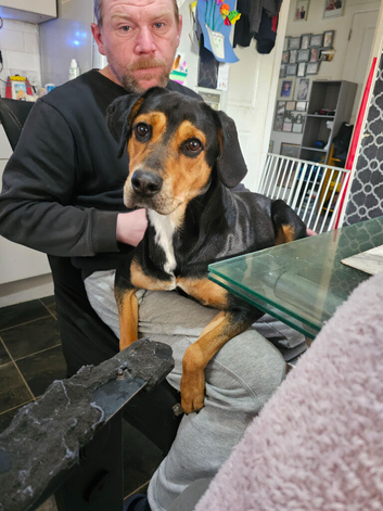 Nala needs new home