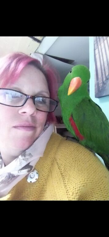 Bird/ parrot boarding/ holiday service, registered, hampshire