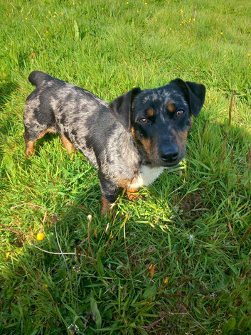 Beautiful Girl