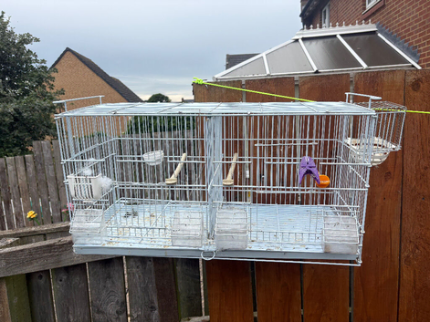 Cage