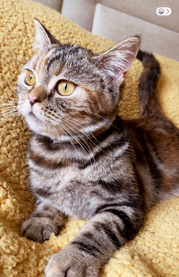 Looking for forever home