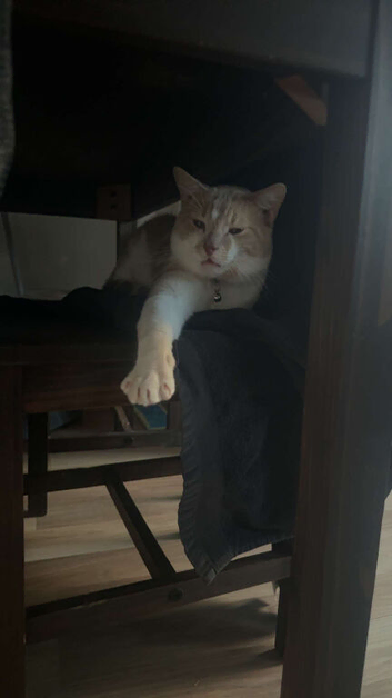 Le-Roy is looking for a new home!!