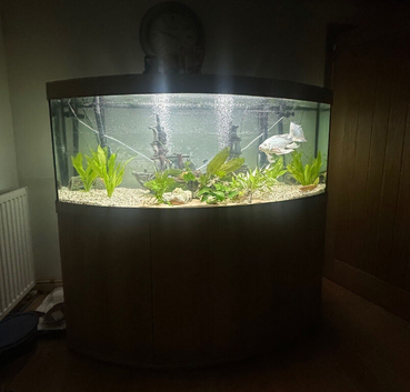 Fish tank for sale