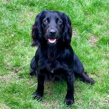 TILLY