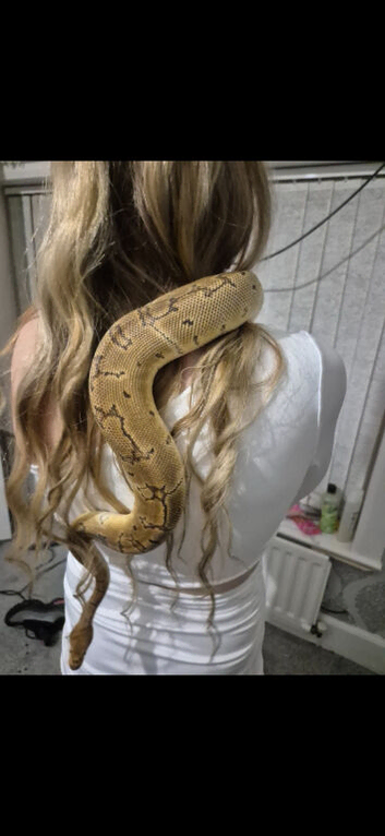 Female pinstripe clown