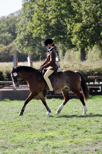 12.2 Welsh section C