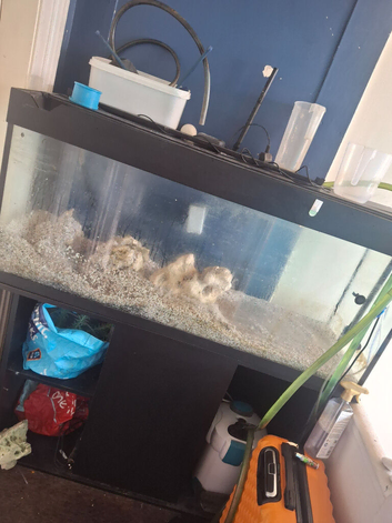 Jewel fish tank