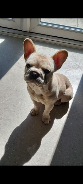 10month old girl