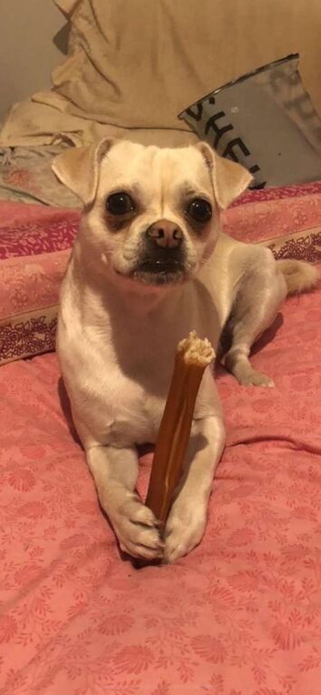 Chug for rehoming