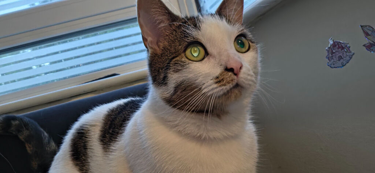 Romeo
